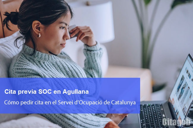 Oficinas de empleo en Agullana